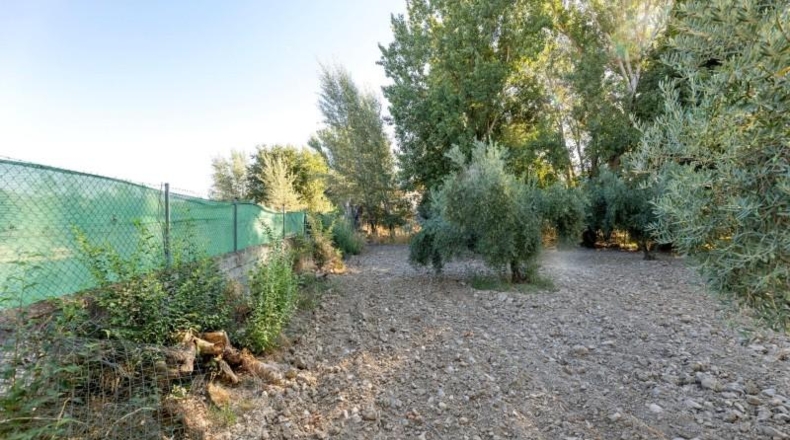 Jaén - Larva - 20000m2