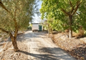 Terreny no urbanitzable en venda a la España, Gójar, ref.: TR340799 foto