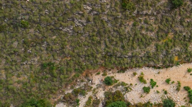 Málaga - Benalmádena - 611m2