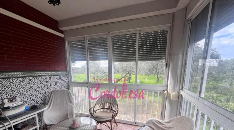 Córdoba - Córdoba - 7000m2