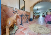 Casa de camp amb terreny en venda a la España, Pilas, ref.: TR367829 foto
