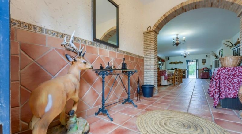 Sevilla - Pilas - 2500m2