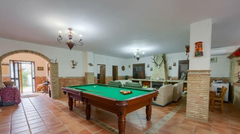 Sevilla - Pilas - 2500m2