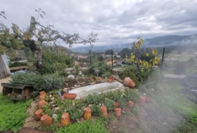 Puenteareas 2401&nbsp;m² 