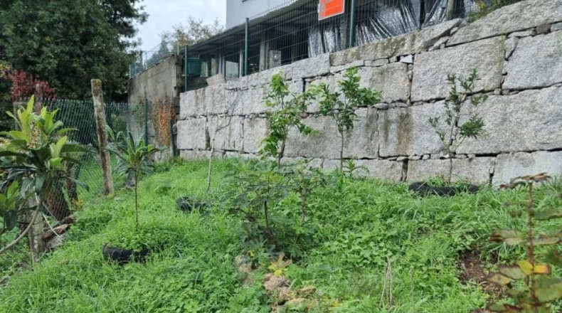 Pontevedra - Ponteareas - 2401m2
