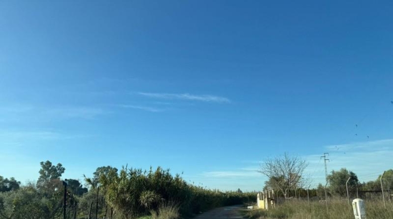 Sevilla - Pilas - 2389m2