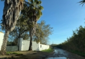 Casa de camp amb terreny en venda a la España, Pilas, ref.: TR368818 foto