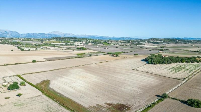Islas Baleares - Maria de la Salut - 42618m2
