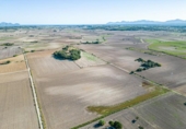Country house with land for sale on España, Maria de la Salut, ref: TR369680 photo