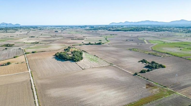 Islas Baleares - Maria de la Salut - 42618m2