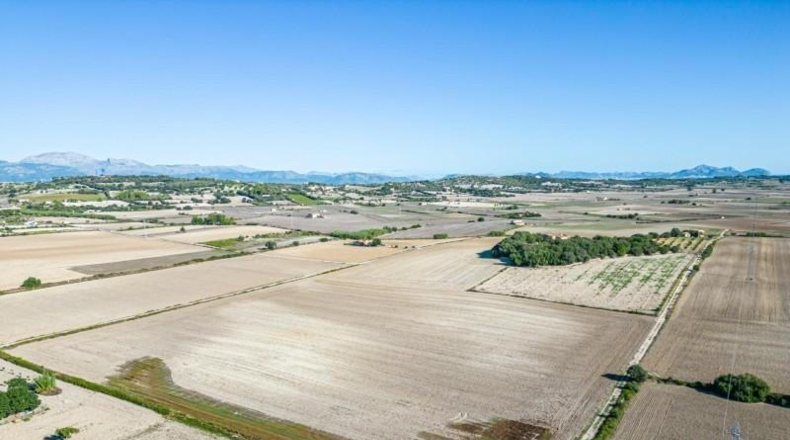 Islas Baleares - Maria de la Salut - 42618m2
