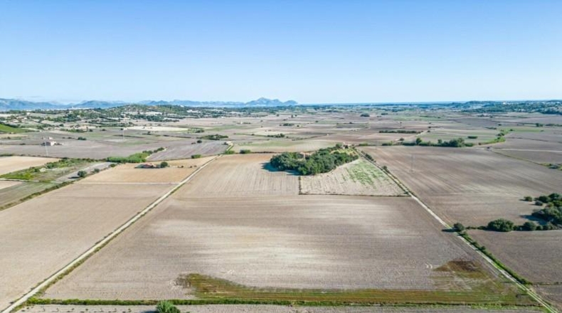 Islas Baleares - Maria de la Salut - 42618m2