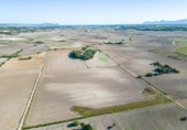 Country house with land for sale on España, Maria de la Salut, ref: TR369680 photo