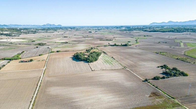 Islas Baleares - Maria de la Salut - 42618m2