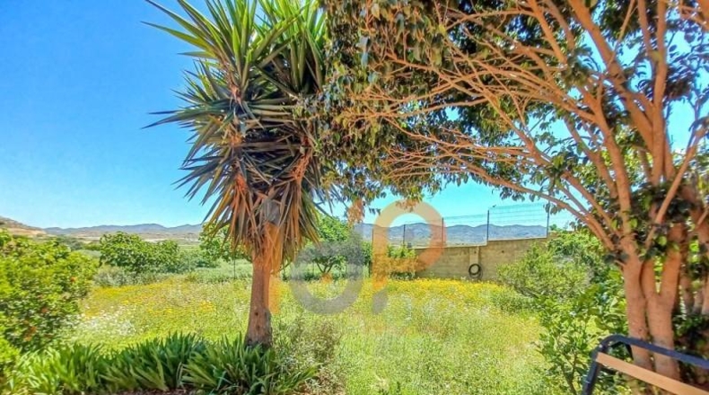 Almería - Cuevas del Almanzora - 1600m2