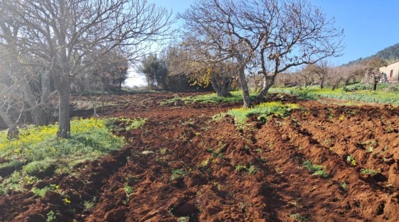 Cantabria - El Rosario - 9829m2