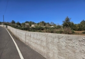 Terreny no urbanitzable en venda a la España, Machado, ref.: TR377312 foto