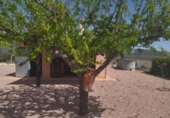 Casa de campo con terreno en venta en la España, Moratalla, ref: TR159589 foto