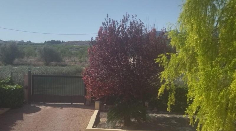 Murcia - Moratalla - 3584m2