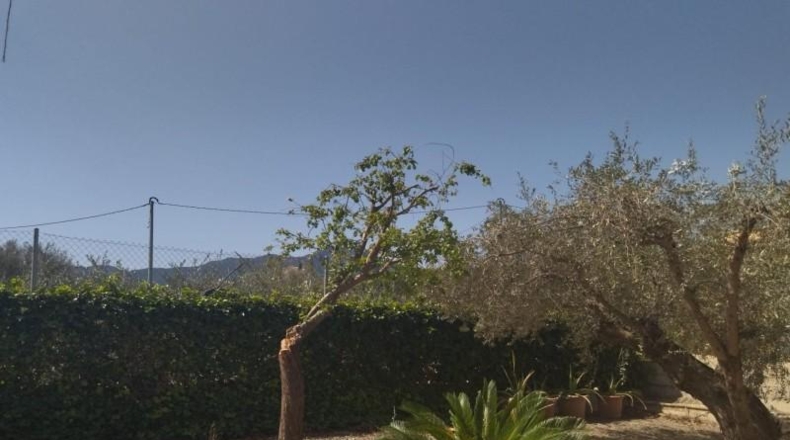 Murcia - Moratalla - 3584m2