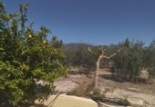 Casa de campo con terreno en venta en la España, Moratalla, ref: TR159589 foto