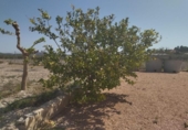 Casa de campo con terreno en venta en la España, Moratalla, ref: TR159589 foto