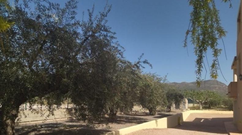 Murcia - Moratalla - 3584m2