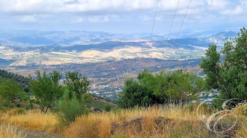 Málaga - Alcaucín - 11000m2