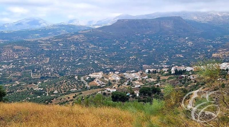Málaga - Alcaucín - 11000m2