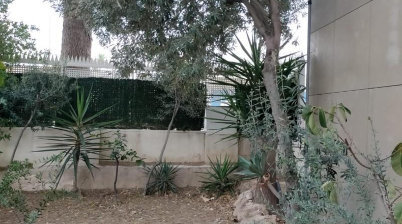 Alicante - Oriola - 710m2