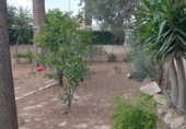 Xalet independent amb terreny en venda a la España, Oriola, ref.: TR167066 foto
