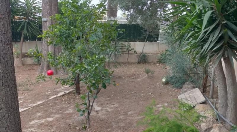 Alicante - Oriola - 710m2