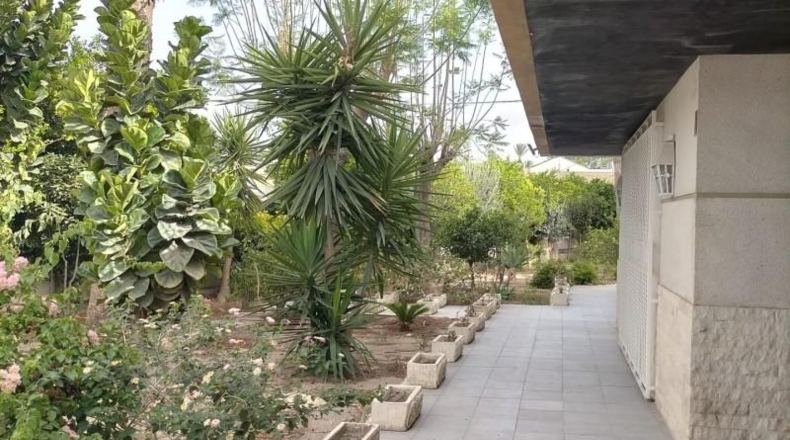 Alicante - Oriola - 710m2
