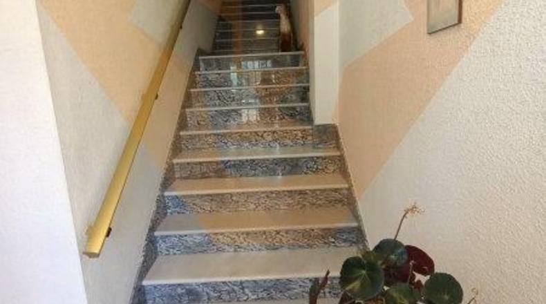 Murcia - Molina de Segura - 433m2