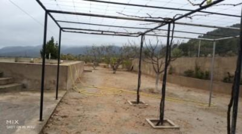 Alicante - Castalla - 8000m2