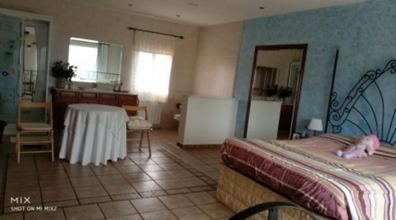 Alicante - Castalla - 8000m2