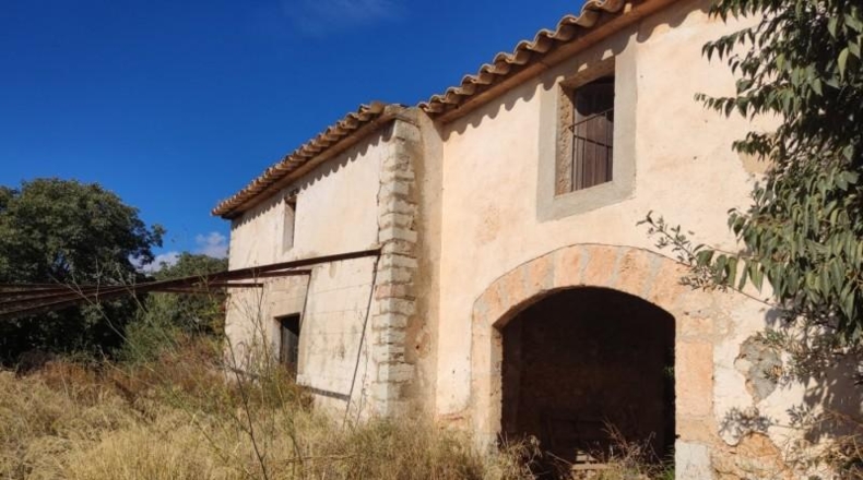 Islas Baleares - Binissalem - 10795m2