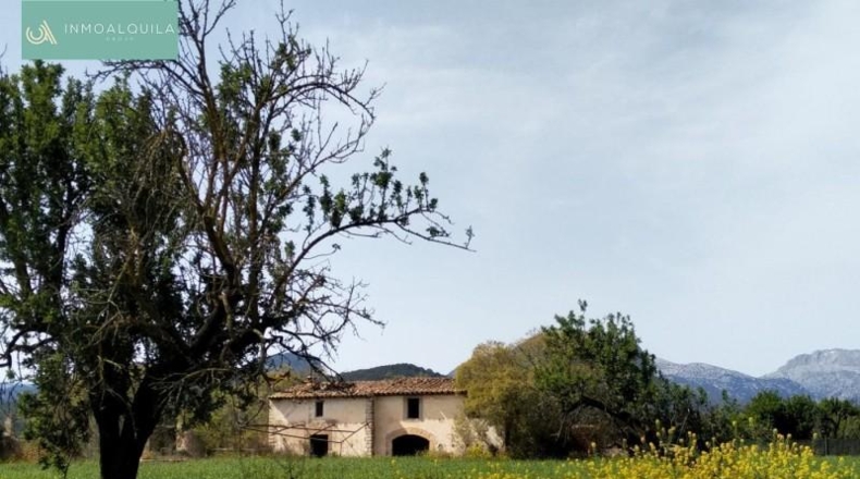 Islas Baleares - Binissalem - 10795m2