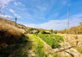 Загородный дом с участком на продажу в городе Loja Фото
