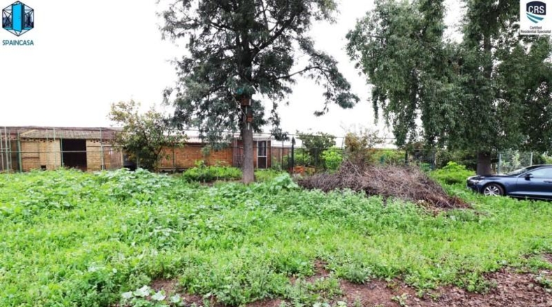 Huelva - Gibraleón - 50000m2