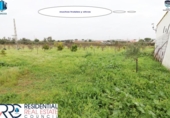 Detached villa with land for sale on España, Gibraleón, ref: TR364942 photo