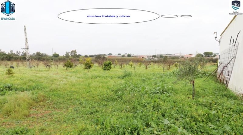 Huelva - Gibraleón - 50000m2
