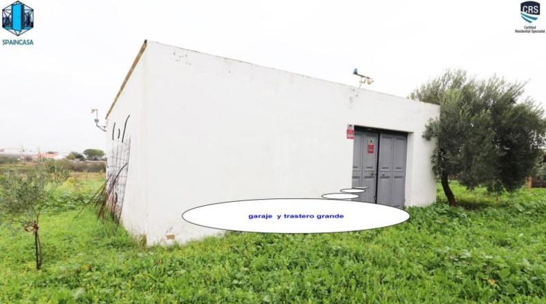 Huelva - Gibraleón - 50000m2