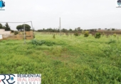 Detached villa with land for sale on España, Gibraleón, ref: TR364942 photo