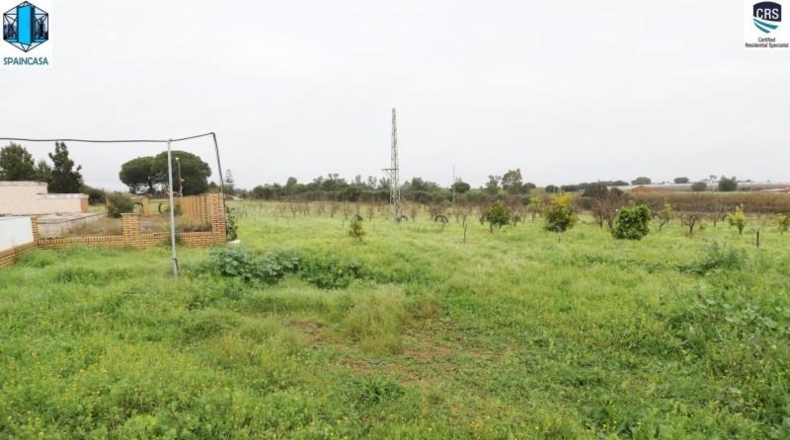 Huelva - Gibraleón - 50000m2