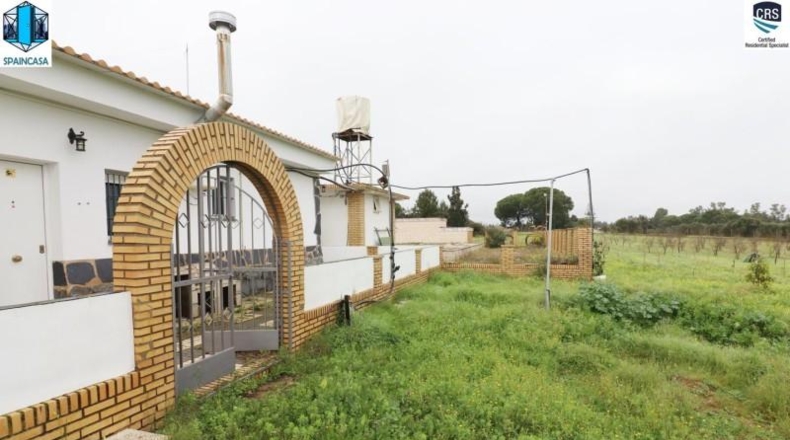 Huelva - Gibraleón - 50000m2
