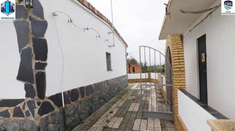 Huelva - Gibraleón - 50000m2