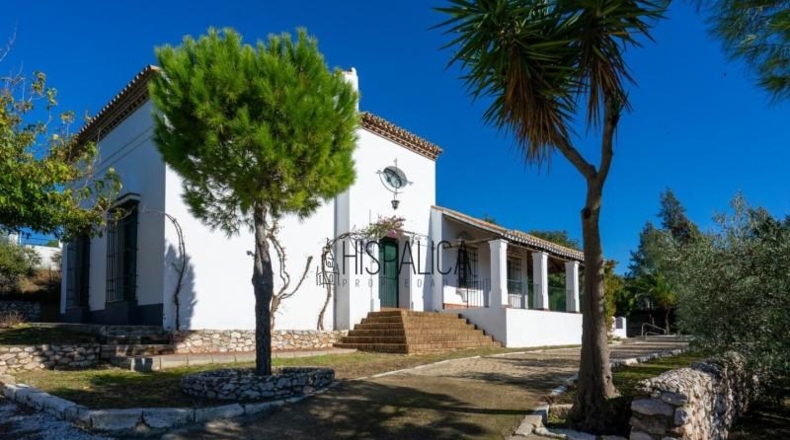 Seville - Cantillana - 5669m2