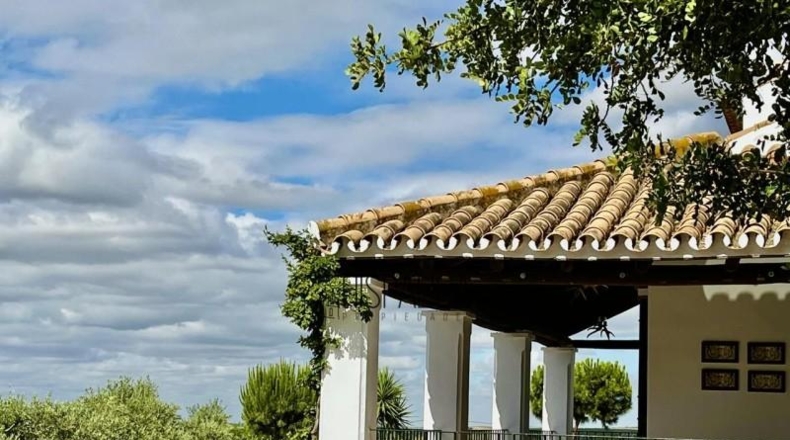 Seville - Cantillana - 5669m2