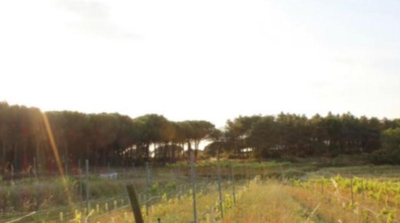 Barcelona - Tordera - 15500m2